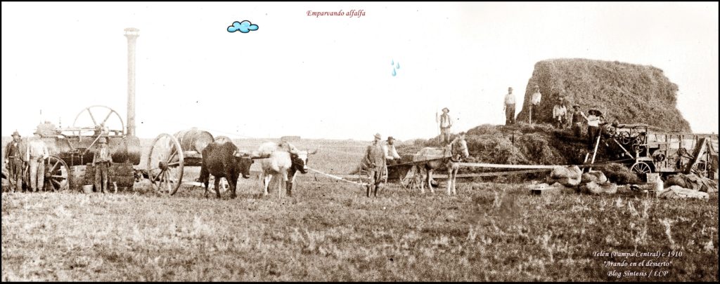 Telen Y Sus Alfalfares - Síntesis Desde La Atalaya